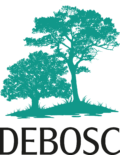 LOGO DEBOSC SOLO ARBOL I NOMBRE